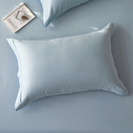 91家纺网 家纺一手货源 找家纺 ROZ home 蕊姿家居 2024新款超柔磨毛全棉单枕套 天空蓝