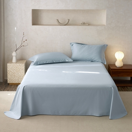 ROZ home 蕊姿家居 2024新款超柔磨毛全棉单床单 天空蓝