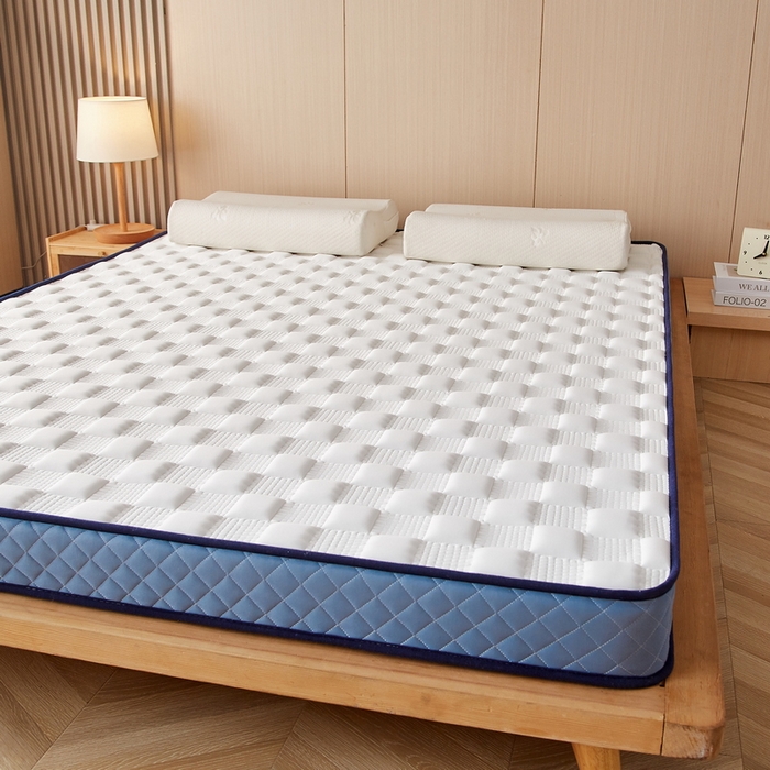 91家纺网 家纺一手货源 找家纺 迪乐妮家居 2024新款牛奶丝加厚加高乳胶记忆棉床垫-布拉格系列  白蓝