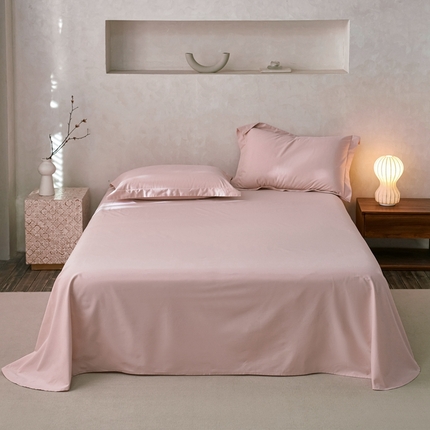 ROZ home 蕊姿家居 2024新款超柔磨毛全棉单床单 浅粉