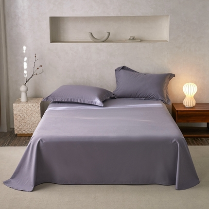 ROZ home 蕊姿家居 2024新款超柔磨毛全棉单床单 蓝莓灰