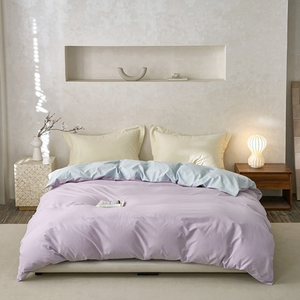 ROZ home 蕊姿家居 2024新款超柔磨毛全棉单被套 丁香紫+天空蓝