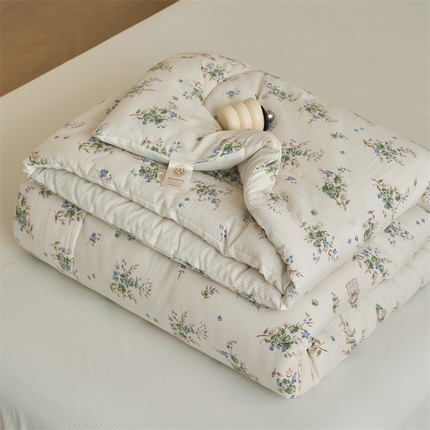 91家纺网 家纺一手货源 找家纺 （总）换种生活 2024新款A类泡泡棉羽丝绒印花冬被