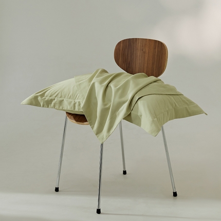 EH家居 2024新款秋冬全棉磨毛单品系列-单枕套 苍葭青