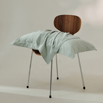 91家纺网 家纺一手货源 找家纺 EH家居 2024新款秋冬全棉磨毛单品系列-单枕套 景蓝色