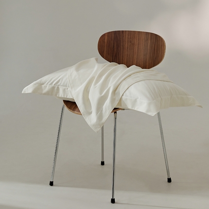 91家纺网 家纺一手货源 找家纺 EH家居 2024新款秋冬全棉磨毛单品系列-单枕套 羽白