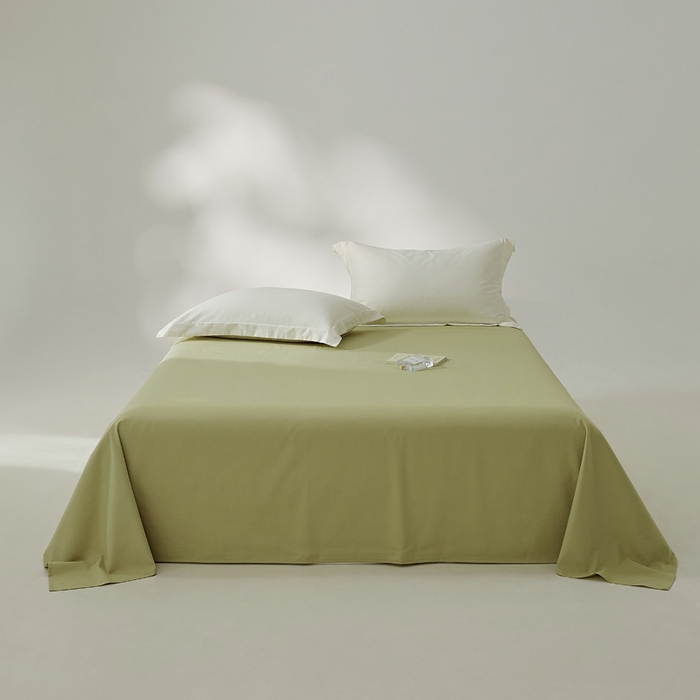 91家纺网 家纺一手货源 找家纺 EH家居 2024新款秋冬全棉磨毛单品系列-单床单 苍葭青