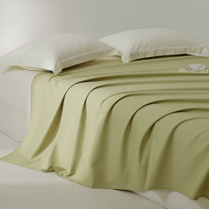 91家纺网 家纺一手货源 找家纺 EH家居 2024新款秋冬全棉磨毛单品系列-单床单 苍葭青