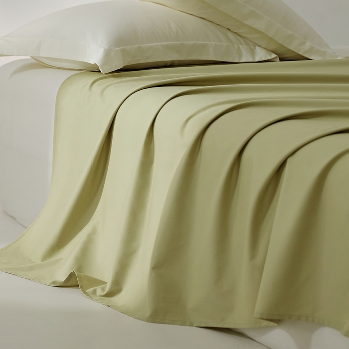 91家纺网 家纺一手货源 找家纺 EH家居 2024新款秋冬全棉磨毛单品系列-单床单 苍葭青