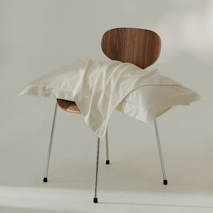 EH家居 2024新款秋冬全棉磨毛单品系列-单枕套 米白