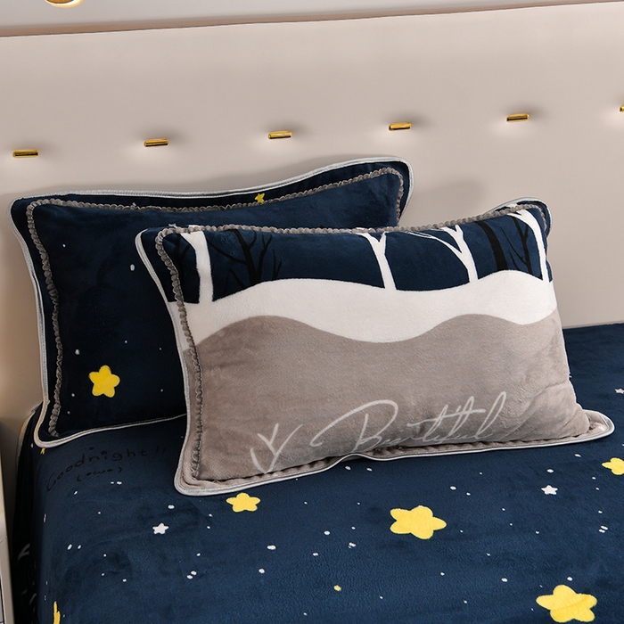 91家纺网 家纺一手货源 找家纺 绒品壹家家纺 2024新款5斤加厚金貂绒四件套 星空森林