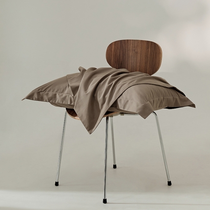 91家纺网 家纺一手货源 找家纺 EH家居 2024新款秋冬全棉磨毛单品系列-单枕套 高级咖