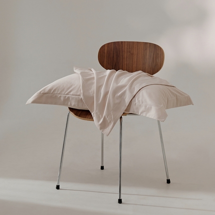 91家纺网 家纺一手货源 找家纺 EH家居 2024新款秋冬全棉磨毛单品系列-单枕套 西洋灰粉