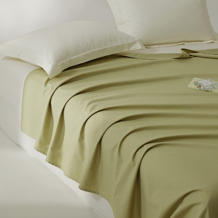 91家纺网 家纺一手货源 找家纺 EH家居 2024新款秋冬全棉磨毛单品系列-单床单 苍葭青