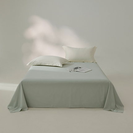 91家纺网 家纺一手货源 找家纺 （总）EH家居 2024新款秋冬全棉磨毛单品系列-单床单