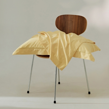 91家纺网 家纺一手货源 找家纺 EH家居 2024新款秋冬全棉磨毛单品系列-单枕套 樱黄