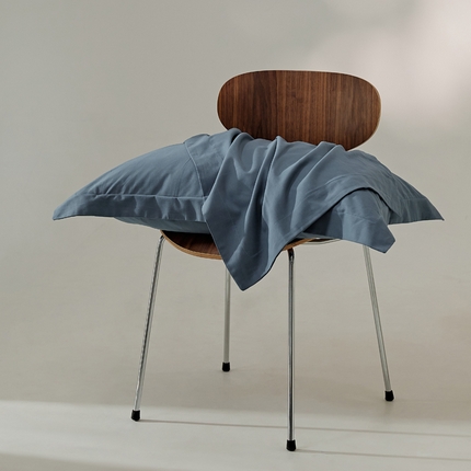 91家纺网 家纺一手货源 找家纺 （总）EH家居 2024新款秋冬全棉磨毛单品系列-单枕套