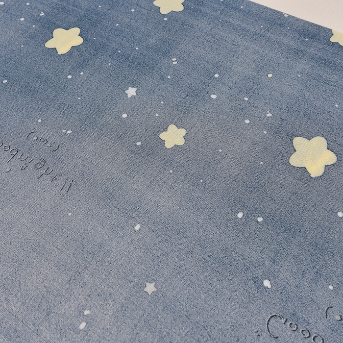 91家纺网 家纺一手货源 找家纺 绒品壹家家纺 2024新款5斤加厚金貂绒四件套 星空森林