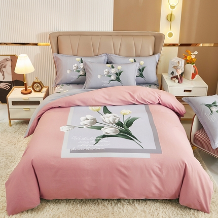 雲归梦 2024新款加厚全棉生态磨毛大版四件套 含香-粉
