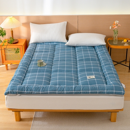 91家纺网 家纺一手货源 找家纺 （总）蓝冰家纺 2024新款新疆棉花水洗棉床褥-大床