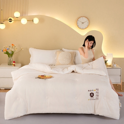 2024新款泡泡棉冬被原棉提花大豆被 泡泡棉 白色