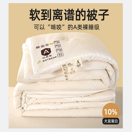 91家纺网 家纺一手货源 找家纺 2024新款泡泡棉冬被原棉提花大豆被 泡泡棉 白色