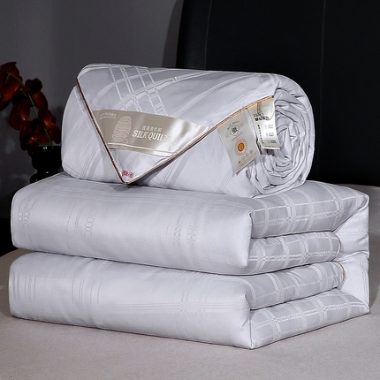 91家纺网 家纺一手货源 找家纺 （总）芭芭棉家纺 2025新款全棉被冬被春秋被拉链二合一子母被被子被芯-方格系列