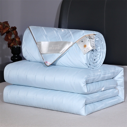 91家纺网 家纺一手货源 找家纺 （总）芭芭棉家纺 2025新款全棉被冬被春秋被拉链二合一子母被被子被芯-方格系列