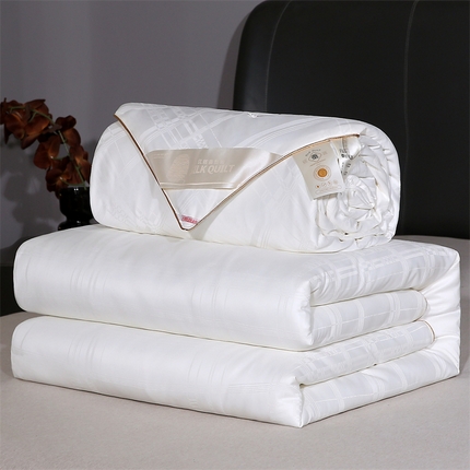 91家纺网 家纺一手货源 找家纺 （总）芭芭棉家纺 2025新款全棉被冬被春秋被拉链二合一子母被被子被芯-方格系列