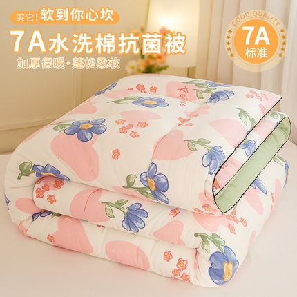 91家纺网 家纺一手货源 找家纺 （总）欢乐季  2025新款7A抗菌水洗棉印花冬被四季被+被芯秋冬加厚被芯四季被子
