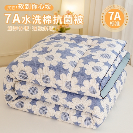 91家纺网 家纺一手货源 找家纺 （总）欢乐季  2025新款7A抗菌水洗棉印花冬被四季被+被芯秋冬加厚被芯四季被子