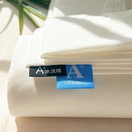 韩巢家纺 2024新款简约格子纯色A类水洗棉床单枕套三件套 A类本白-床单