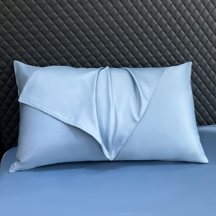 91家纺网 家纺一手货源 找家纺 （总）家居1号家纺 2024新款50双股新疆长绒棉纯色四件套单品系列-单枕套