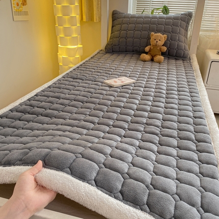 91家纺网 家纺一手货源 找家纺 （总）源舍家纺 2024新款牛奶绒学生宿舍床垫床褥款上下铺床垫