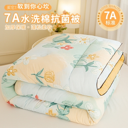91家纺网 家纺一手货源 找家纺 （总）欢乐季  2025新款7A抗菌水洗棉印花冬被四季被+被芯秋冬加厚被芯四季被子