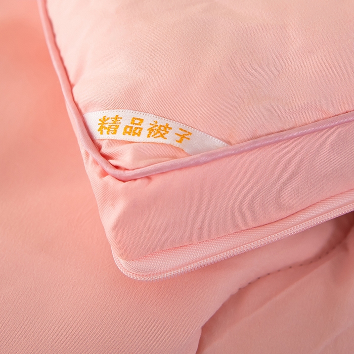 91家纺网 家纺一手货源 找家纺 梦莱家纺 2024新款立体双胎子母被拉链磨毛被冬被被子被芯 玉色