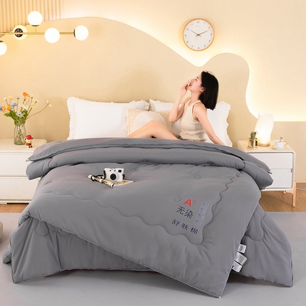 梦莱家纺 2024新款立体双胎子母被拉链磨毛被冬被被子被芯 灰色