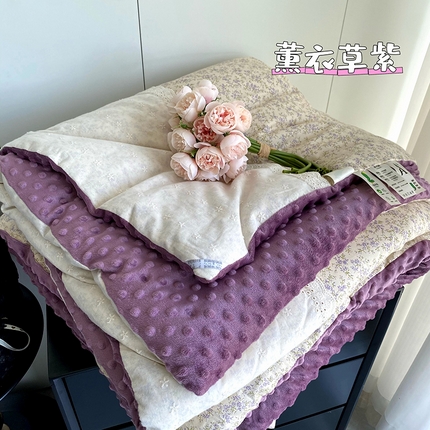 2025新款秋冬季棉加豆豆绒法式花边款豆豆被被芯 薰衣草紫