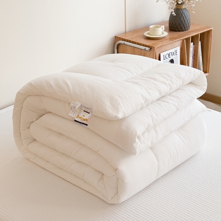 （总）宝士康家纺 2024新款简约无印风冬被 被子被芯