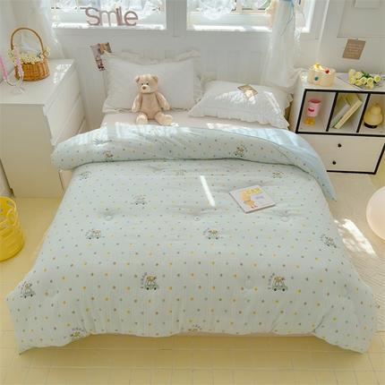 蓝冰家纺 2024新款泡芙印花冬被被子被芯 大豆之家