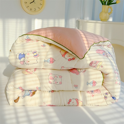 91家纺网 家纺一手货源 找家纺 (总) 蓝冰 2024新款水洗双层纱印花春秋被学生被冬被子被芯