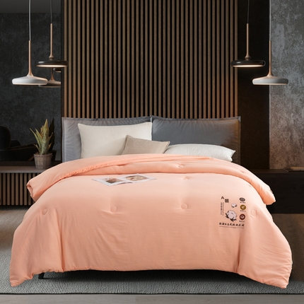 91家纺网 家纺一手货源 找家纺  2024新款新疆长绒棉生态棉花被 玉色