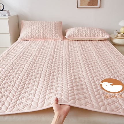 91家纺网 家纺一手货源 找家纺 （总）花言狐语 2025新款水洗棉羊毛床褥大床款 -富贵竹系列