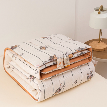 91家纺网 家纺一手货源 找家纺 （总）爱宝被业 2024新款提花云纱棉印花被