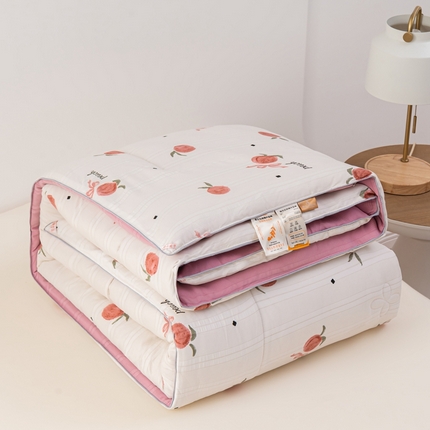 91家纺网 家纺一手货源 找家纺 （总）爱宝被业 2024新款提花云纱棉印花被