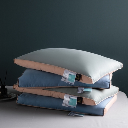 （总）唯爱品 2026年新款阳离子恒柔枕头枕芯 记忆枕源头工厂