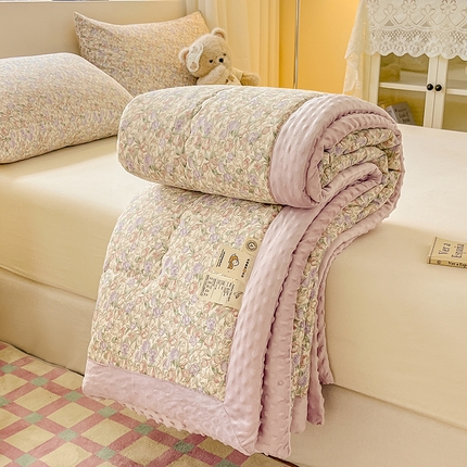 91家纺网 家纺一手货源 找家纺 梦依依 2025新款全棉豆豆绒大豆被 沐光（米）