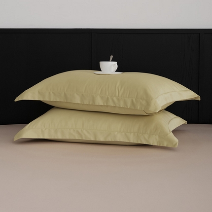 91家纺网 家纺一手货源 找家纺 （总）EH家居 2024新款早秋长绒棉单品系列--枕套