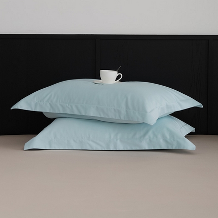 91家纺网 家纺一手货源 找家纺 （总）EH家居 2024新款早秋长绒棉单品系列--枕套