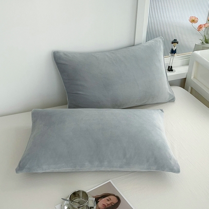 丽涵家纺 2024秋冬新品200克纯色全工艺牛奶绒单品枕套 鸭蛋灰
